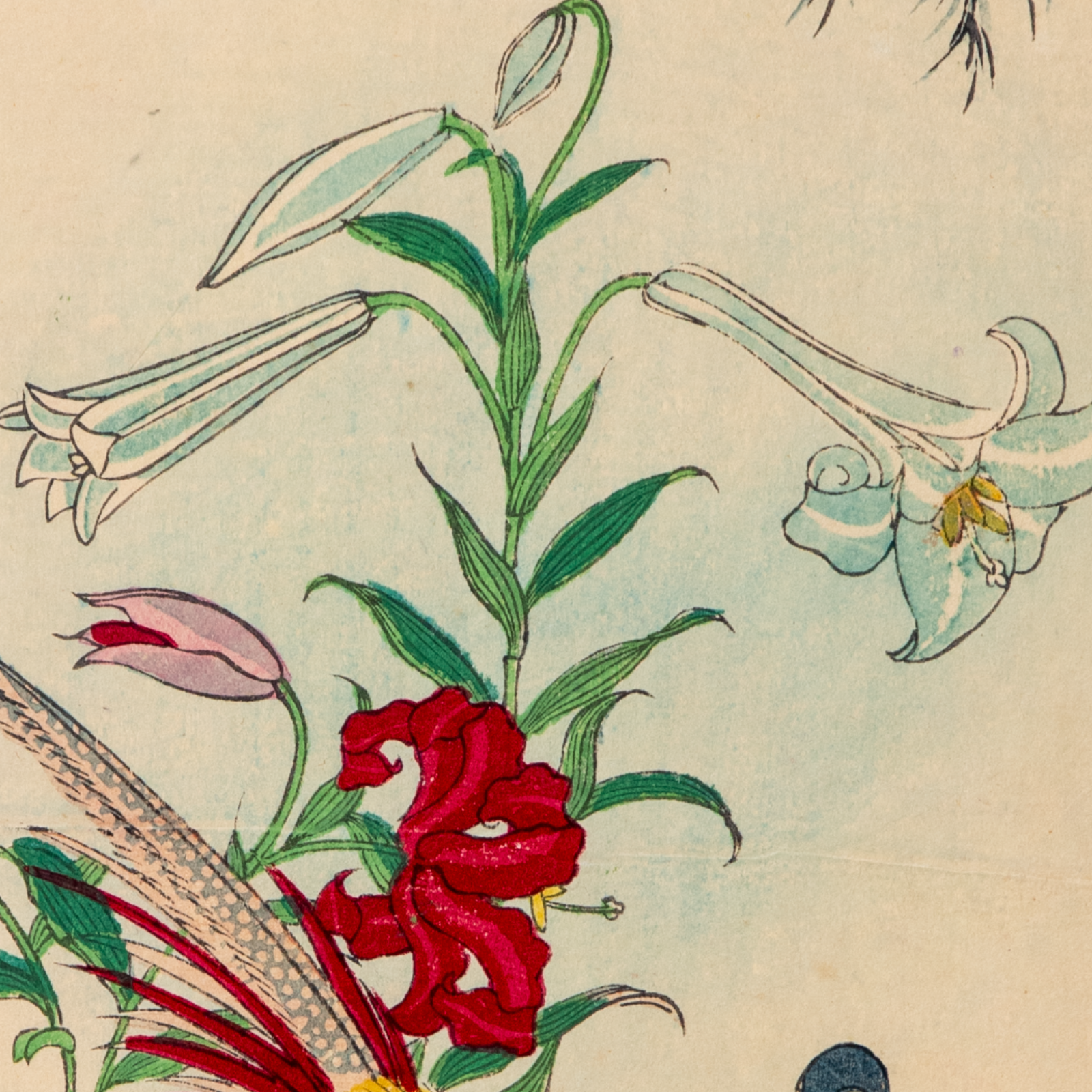 Shibarinsai Japanese Woodblock Print Golden Pheasant Flowers Kacho-e Meiji