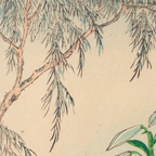 Shibarinsai Japanese Woodblock Print Golden Pheasant Flowers Kacho-e Meiji