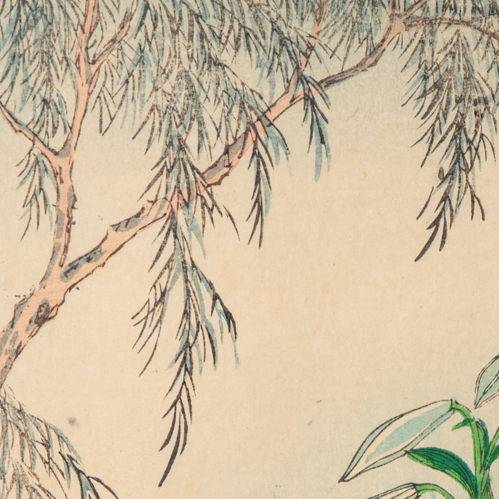 Shibarinsai Japanese Woodblock Print Golden Pheasant Flowers Kacho-e Meiji