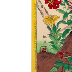 Shibarinsai Japanese Woodblock Print Golden Pheasant Flowers Kacho-e Meiji